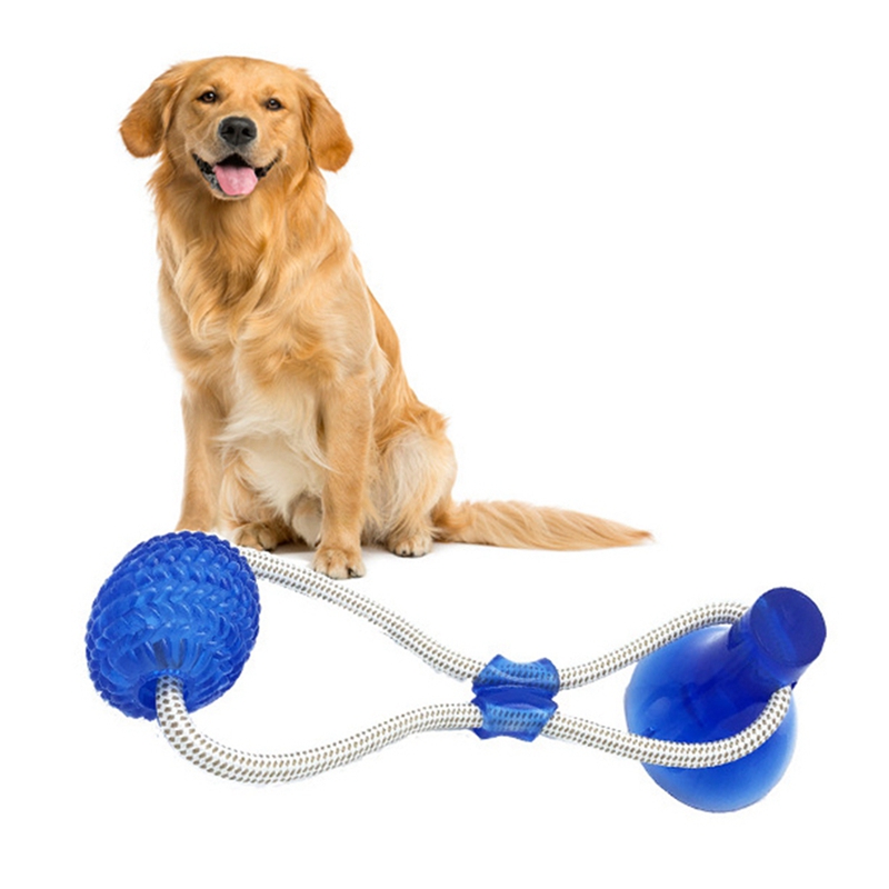 dog play rope